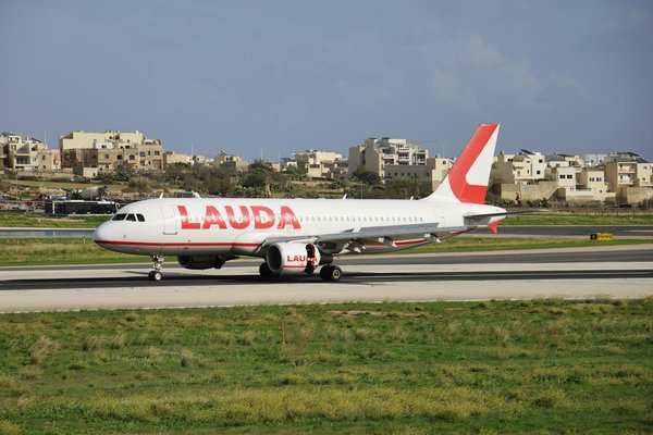 Quels sont les meilleurs spots pour une plongée avec les dauphins en Nouvelle-Zélande?
